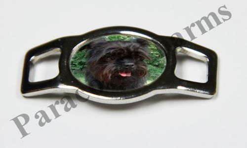 Affenpinscher #007  - Click Image to Close