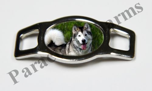 Alaskan Malamute #001  - Click Image to Close