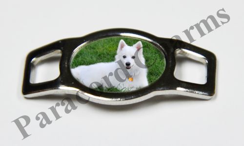 American Eskimo Dog #001