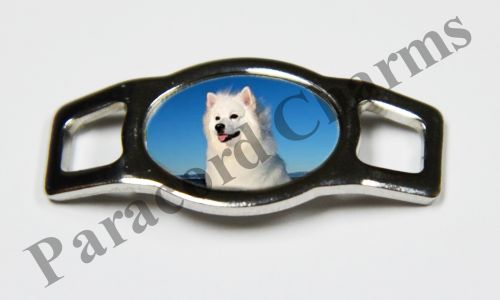 American Eskimo Dog #002