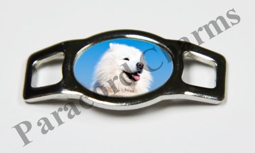 American Eskimo Dog #004