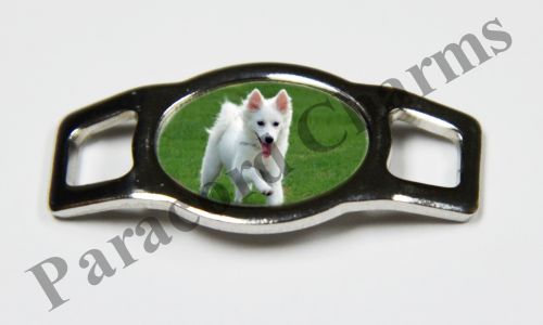 American Eskimo Dog #005