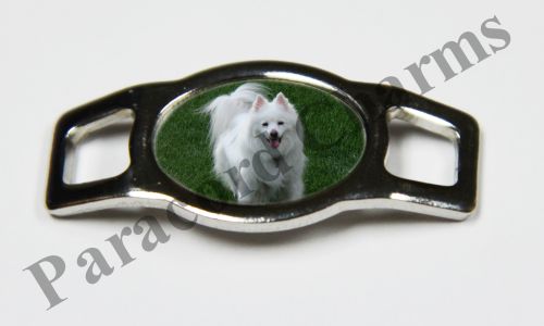 American Eskimo Dog #007  - Click Image to Close