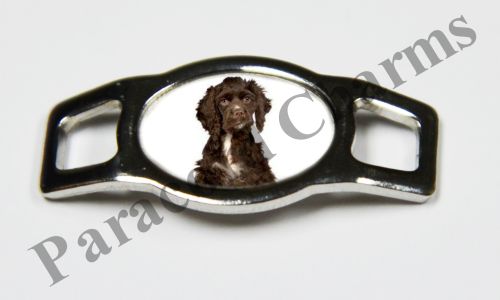 American Water Spaniel #001