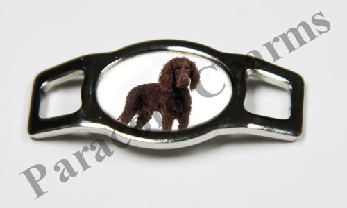 American Water Spaniel #003  - Click Image to Close