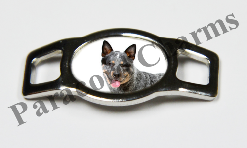 Australian Cattle Dog #002