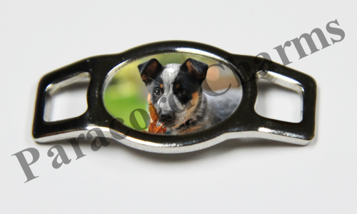 Australian Cattle Dog #003  - Click Image to Close