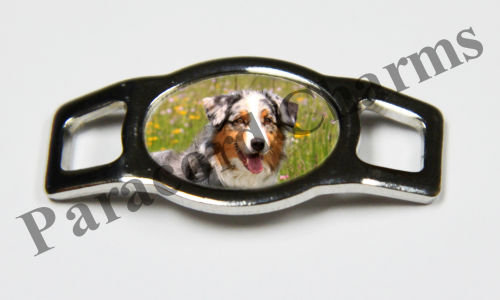 Australian Shepherd #004  - Click Image to Close