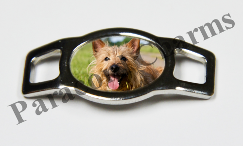 Australian Terrier #003  - Click Image to Close