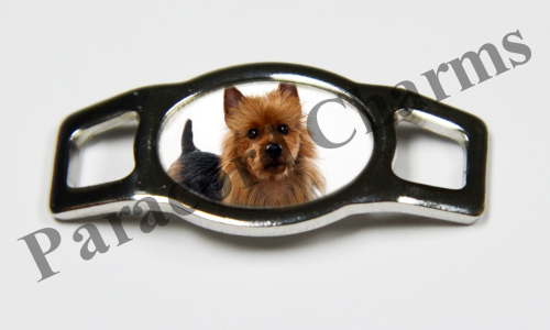 Australian Terrier #005  - Click Image to Close