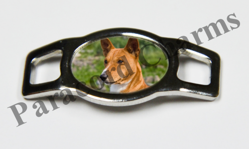 Basenji #003