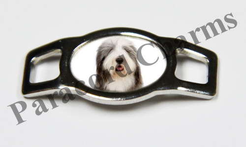 Bearded Collie #003