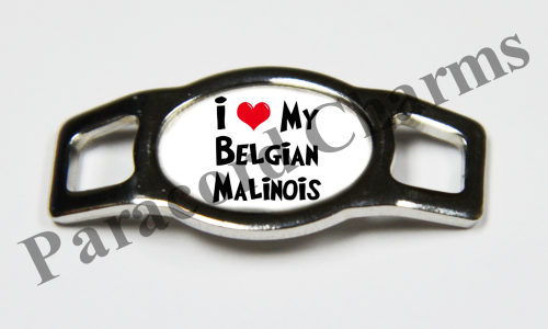 Belgian Malinois #006