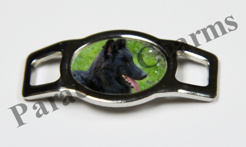 Belgian Sheepdog #003