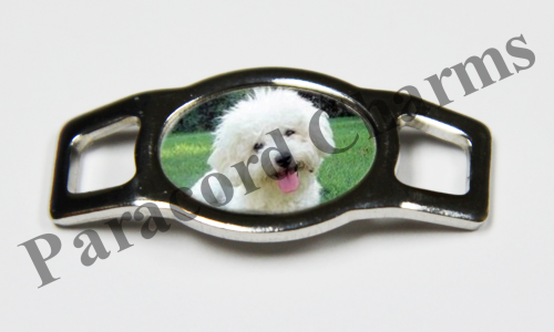 Bichon Frise #001  - Click Image to Close