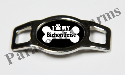 Bichon Frise #006