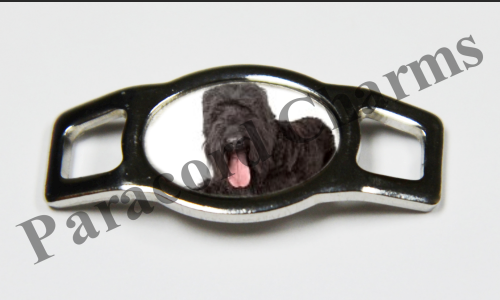 Black Russian Terrier #002