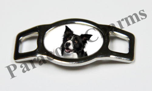 Border Collie #003  - Click Image to Close