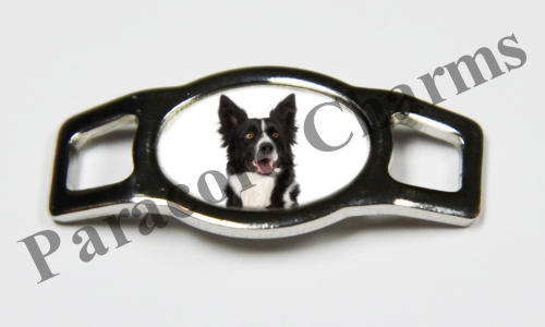 Border Collie #005  - Click Image to Close