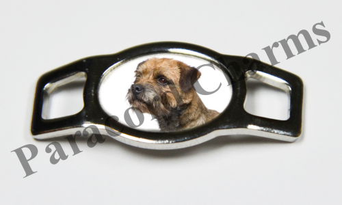 Border Terrier #003  - Click Image to Close