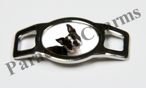 Boston Terrier #001  - Click Image to Close