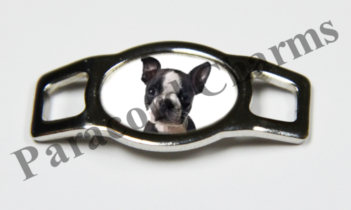 Boston Terrier #002  - Click Image to Close