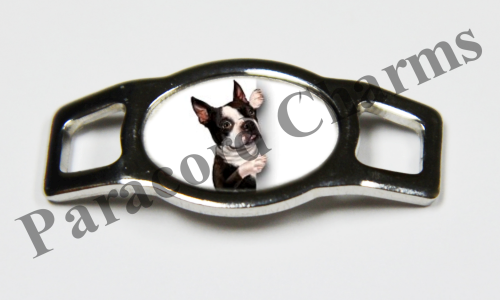 Boston Terrier #003  - Click Image to Close