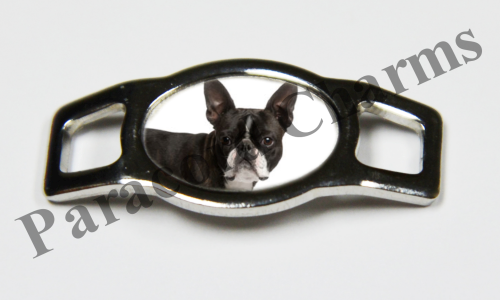 Boston Terrier #004  - Click Image to Close