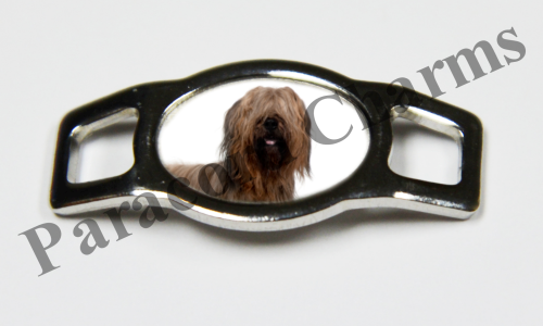 Briard #001