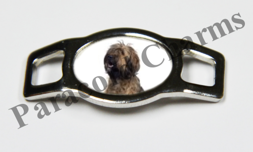 Briard #002