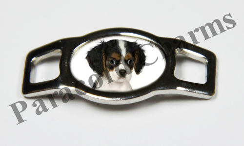 Cavalier King Charles Spaniel #005