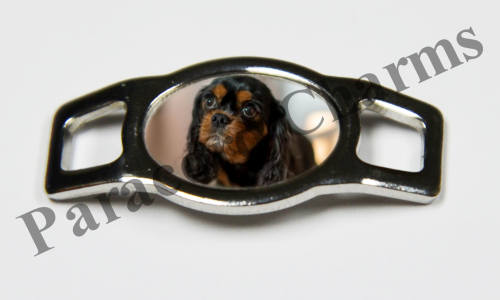 Cavalier King Charles Spaniel  #008  - Click Image to Close