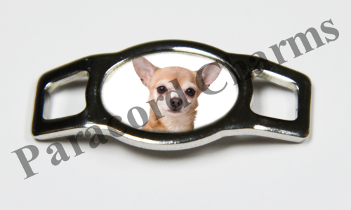 Chihuahua #010  - Click Image to Close