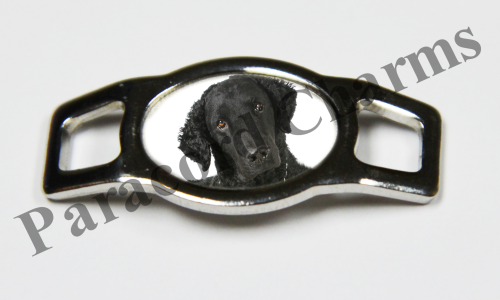 Curly-Coated Retriever #001