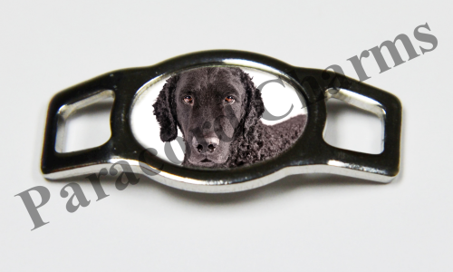 Curly-Coated Retriever #002