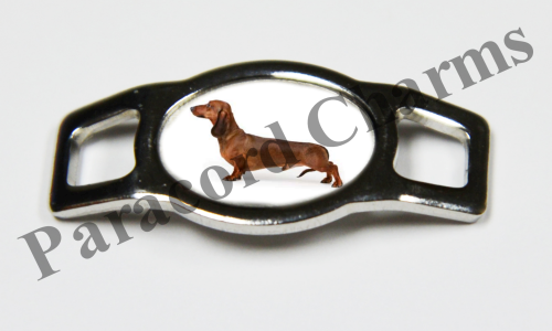 Dachshund #002