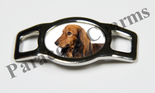 Dachshund #003  - Click Image to Close