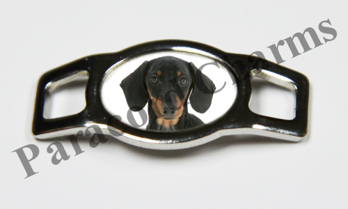 Dachshund #004  - Click Image to Close