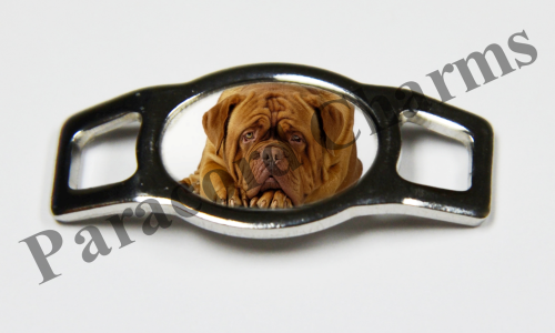 Dogue de Bordeaux #003