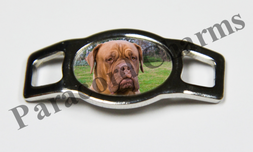 Dogue de Bordeaux #004