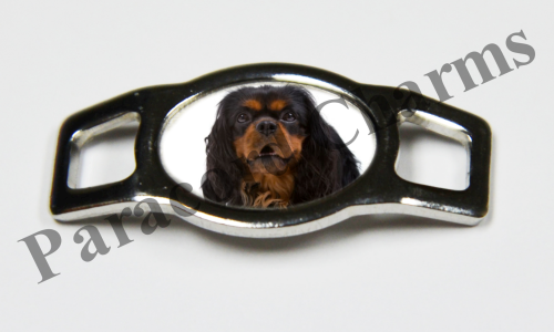 English Spaniel #002  - Click Image to Close