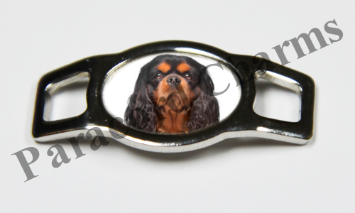 English Spaniel #003  - Click Image to Close