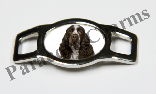 English Springer Spaniel #002  - Click Image to Close