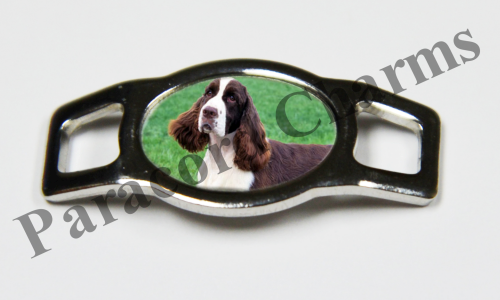 English Springer Spaniel #003