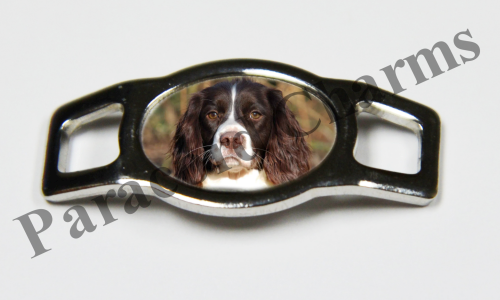 English Springer Spaniel #005