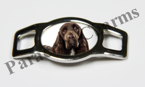 Field Spaniel #002