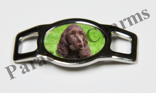 Field Spaniel #003