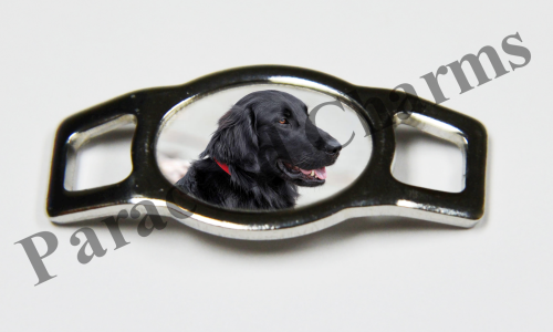 Flat-Coated Retriever #001