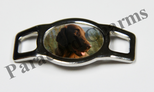 Flat-Coated Retriever #002