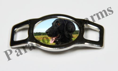 Flat-Coated Retriever #003